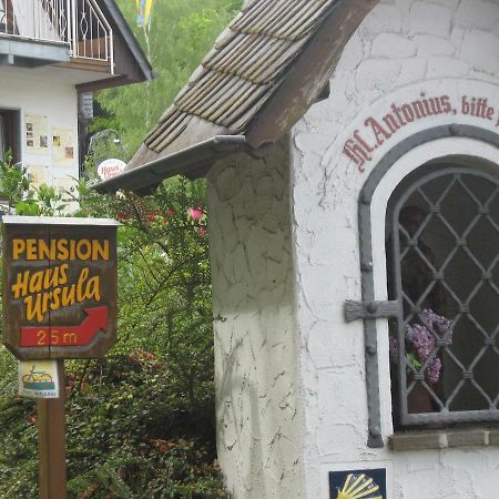 Pension Haus Ursula Coblenza Esterno foto
