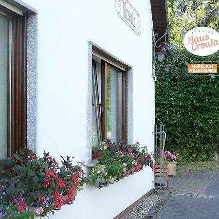 Pension Haus Ursula Coblenza Esterno foto
