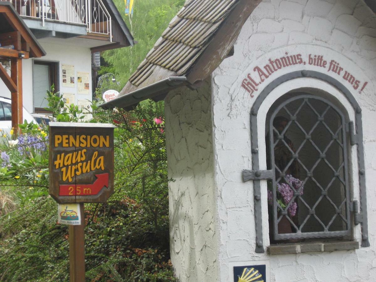 Pension Haus Ursula Coblenza Esterno foto