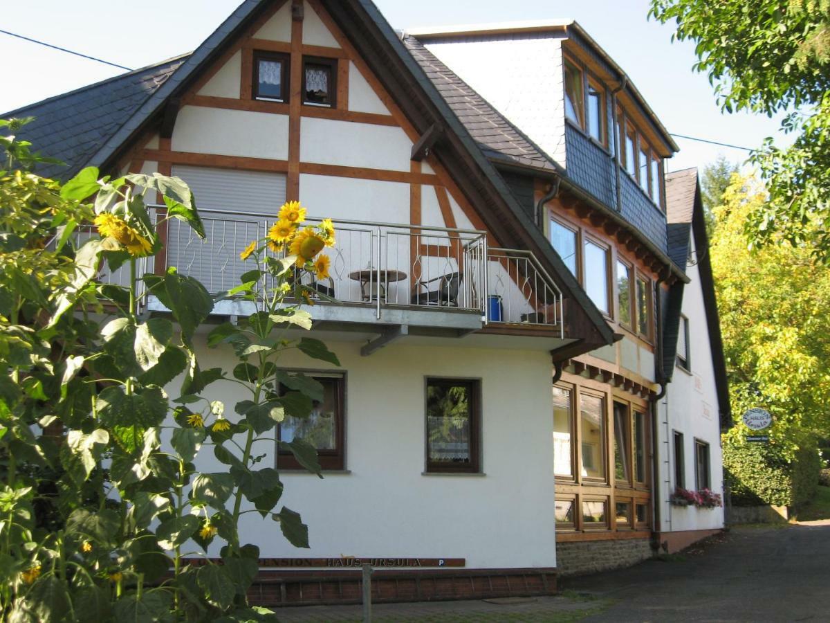 Pension Haus Ursula Coblenza Esterno foto